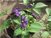 5a28599c-Picture 020.jpg